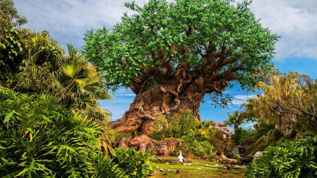 ‪‪Disney's Animal Kingdom Lodge‬‬  Four Corners المظهر الخارجي الصورة
