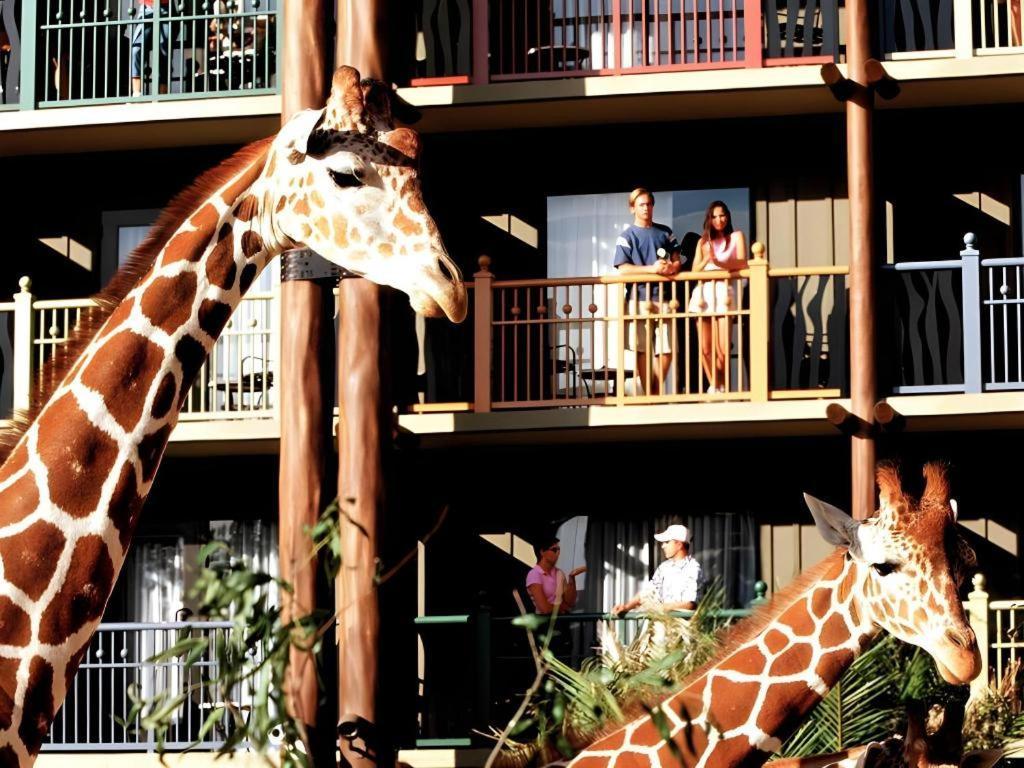 ‪‪Disney's Animal Kingdom Lodge‬‬  Four Corners المظهر الخارجي الصورة