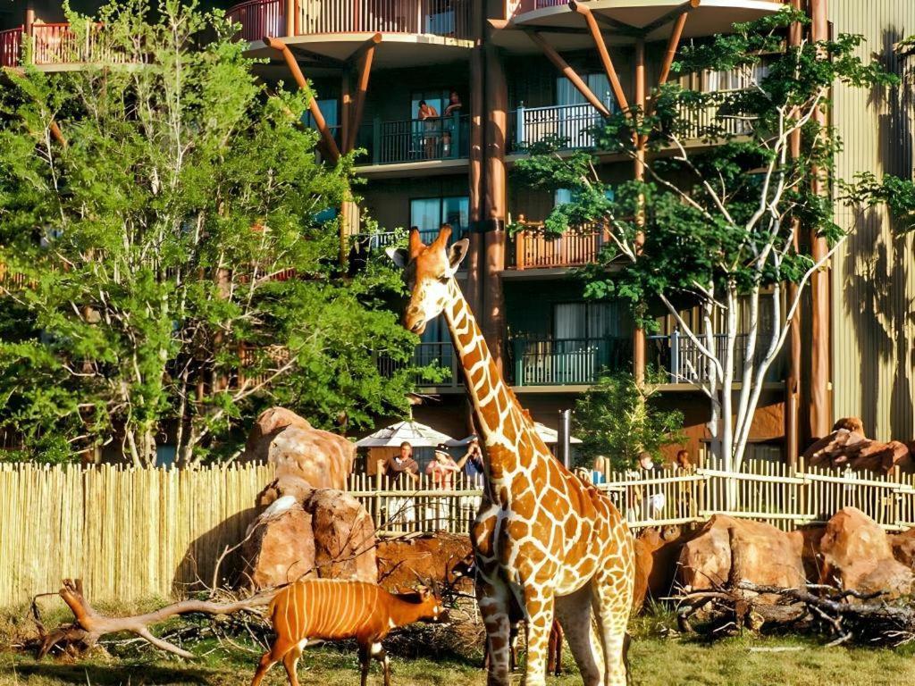‪‪Disney's Animal Kingdom Lodge‬‬  Four Corners المظهر الخارجي الصورة