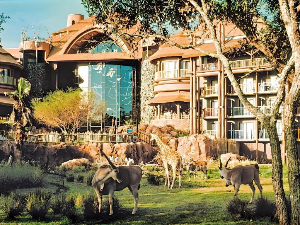 ‪‪Disney's Animal Kingdom Lodge‬‬  Four Corners المظهر الخارجي الصورة